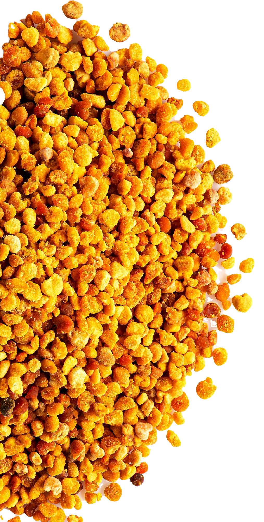 Bee Pollen